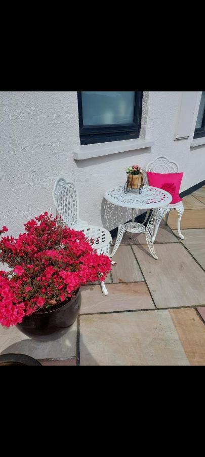 Knockrobin Cottage Wicklow Kültér fotó